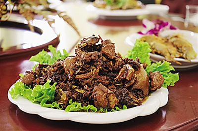 ��Ȫ��������